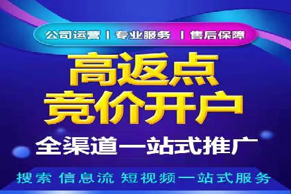 百度竞价推广：从投放策略到效果评估的全过程