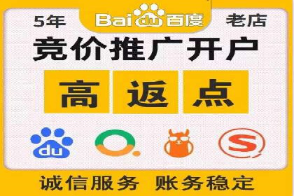 SEM广告投放策略案例分析